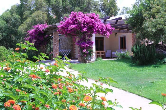 Ferienhaus Suestellas Teulada Garten mit Bougainvillea